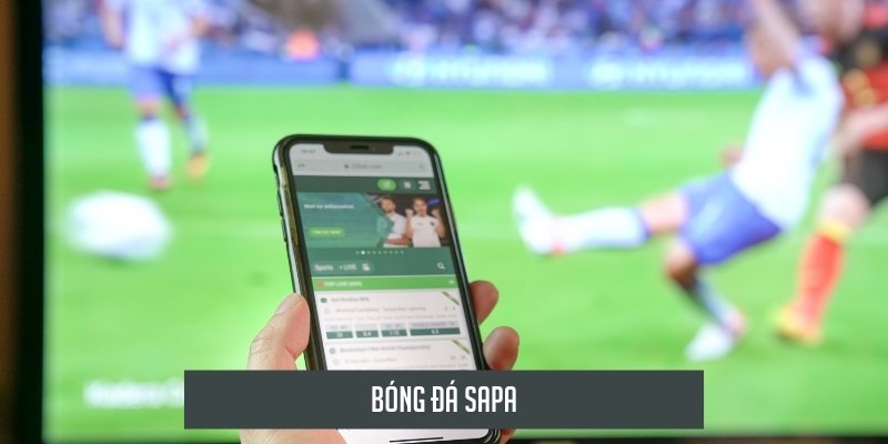 Bóng đá ảo sapa