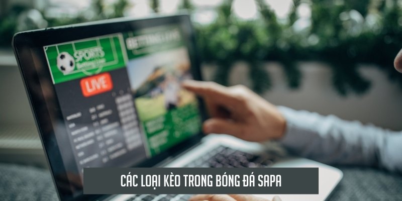 Các loại kèo trong bóng đá sapa