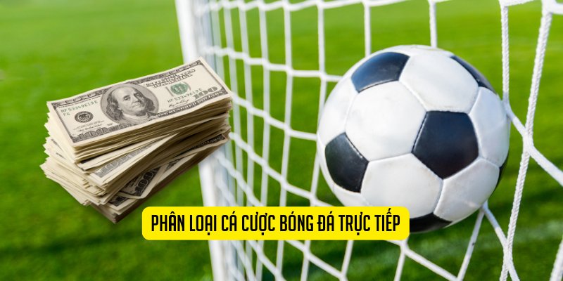 Phân loại cá cược bóng đá trực tiếp