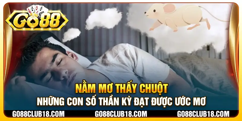 Nằm mơ thấy chuột: Những con số thần kỳ đạt được ước mơ